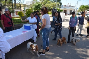 INICIAN CAMPAÑA DE VACUNACIÓN ANTIRRÁBICA CON LA PRESENCIA DE ADRIANA CAMPOS