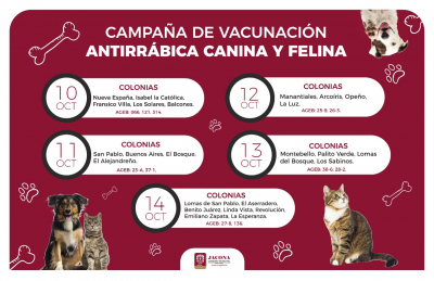Semana de Vacunación Antirrábica Canina y Felina