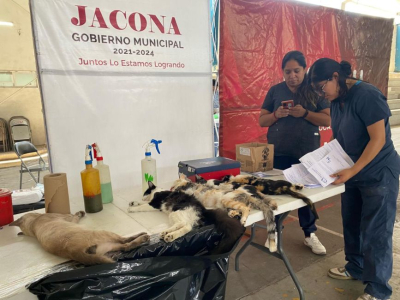 Exitosa jornada de esterilización de mascotas