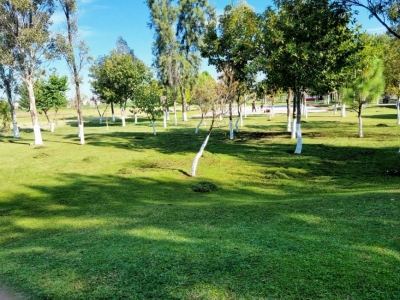 Realizan Mejoras en Lago de Orandiro  *Para brindar un mejor servicio