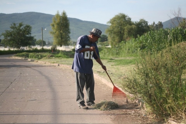 Brindan mantenimiento a jardines en escuelas y espacios públicos de Jacona