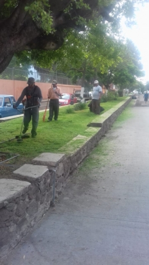 MANTENIMIENTO DE ÁREAS VERDES Y PODA PREVENTIVA DE ÁRBOLES