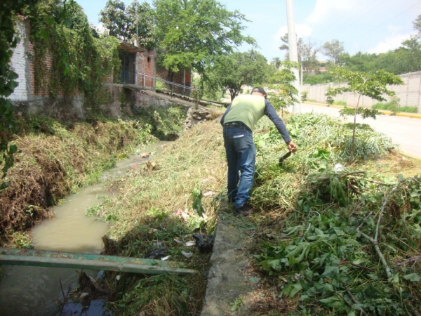 Limpian de maleza canal La Peñita en Jacona para evitar plagas y desbordes