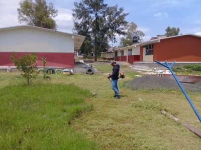 PODA DE ÁRBOLES, PASTO Y PLANTAS DE ORNATO EN ÁREAS VERDES DE EL PLATANAL