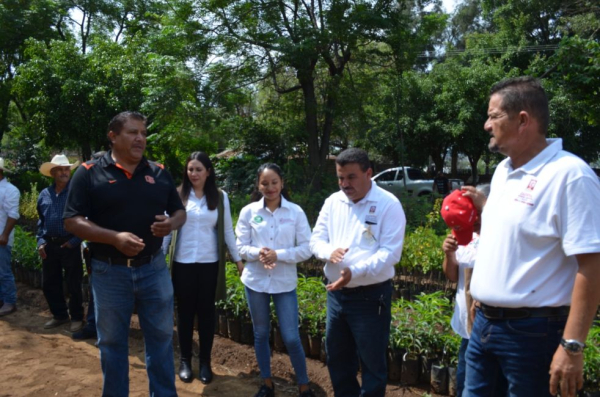 Continúa entrega de árboles frutales