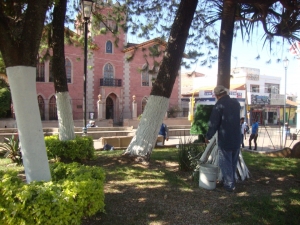 BLANQUEO DE ÁRBOLES EN PLAZA DE JACONA Y CALZADA PARA MEJORA ESTÉTICA