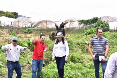 Para aprovechar manantial, SAPAJ continuará obra en El Platanal