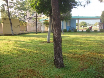 CONSERVAN CÉSPED EN CAMPOS DEPORTIVOS Y JARDINES PÚBLICOS DE JACONA