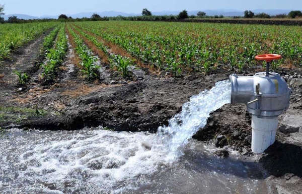 DEBIDO AL COVID-19, AÚN ES POSIBLE VALIDAR PRÓRROGA DEL TÍTULO DE CONCESIÓN DE AGUA