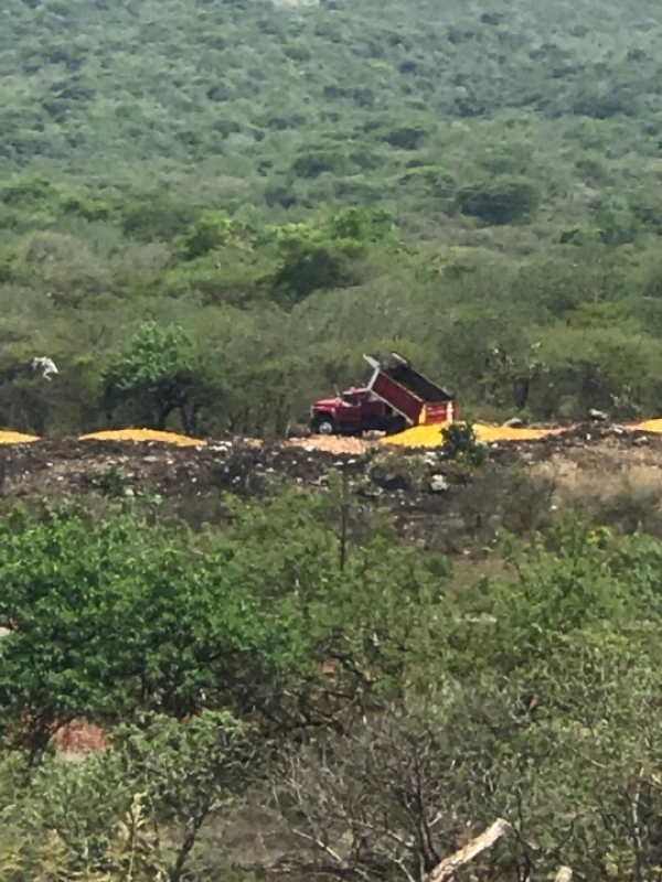 SANCIONAN A INFRACTORES POR TIRAR DESECHOS DE MANGO EN LUGARES CLANDESTINOS